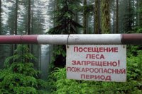 В лесах Красноярского края официально начат пожароопасный сезон