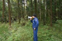 Заблудившаяся в лесу найдена бородинскими полицейскими