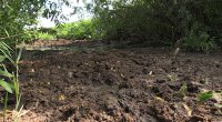 Органические отходы фермы крупного рогатого скота "Искры" больше не угрожают реке Барге