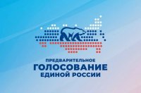 Стартовало электронное предварительное голосование «Единой России»