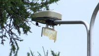 В Зеленогорске заменят фонари уличного освещения