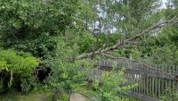 Дачники первого садоводства до сих пор устраняют последствия июньского урагана