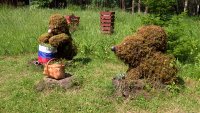 Участники проекта "ПлантДар" озеленяют городской зоопарк