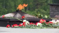 Сегодня 85 годовщина начала Великой Отечественной войны
