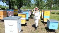 Зеленогорский предприниматель Юлия Казанцева получила грант 1 ммлн рублей на создание и развитие семейной пасеки